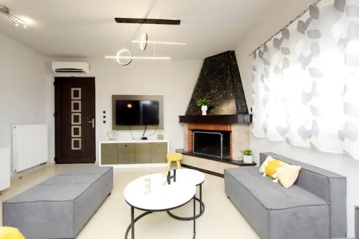 Apartment Theros Lux Embonas